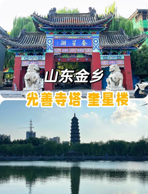 金乡旅游景点在哪里好玩儿
