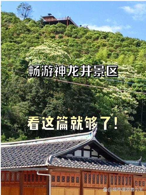 龙井旅游景点哪里好玩一点