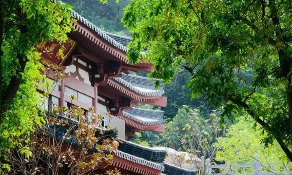 国内 34 省区 “最美天堂” 图鉴：去过 5 个算入门，全去过的堪称 “中国风光大神”
