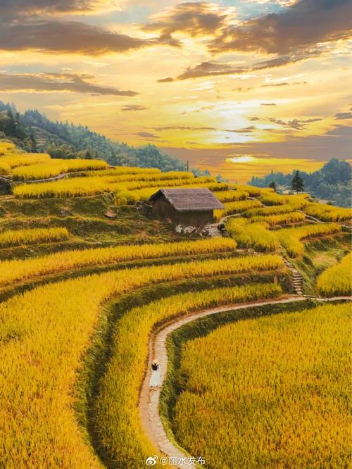 稻米必去景点