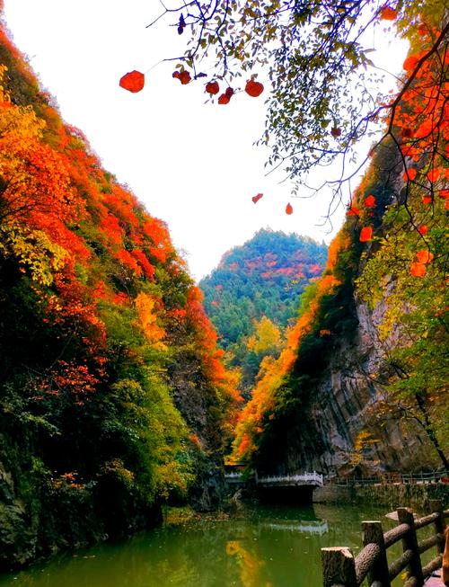 成县旅游景点哪里好玩的