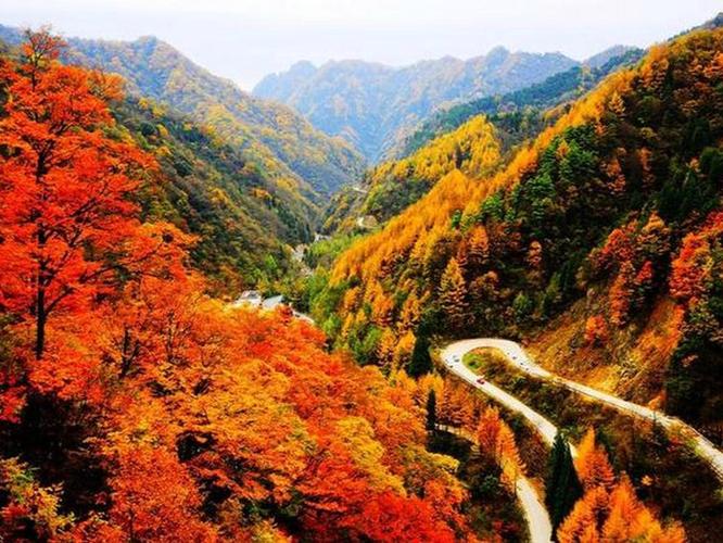 秋天最佳旅游城市有哪些景点