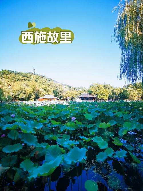 诸城旅游景点哪里好玩的