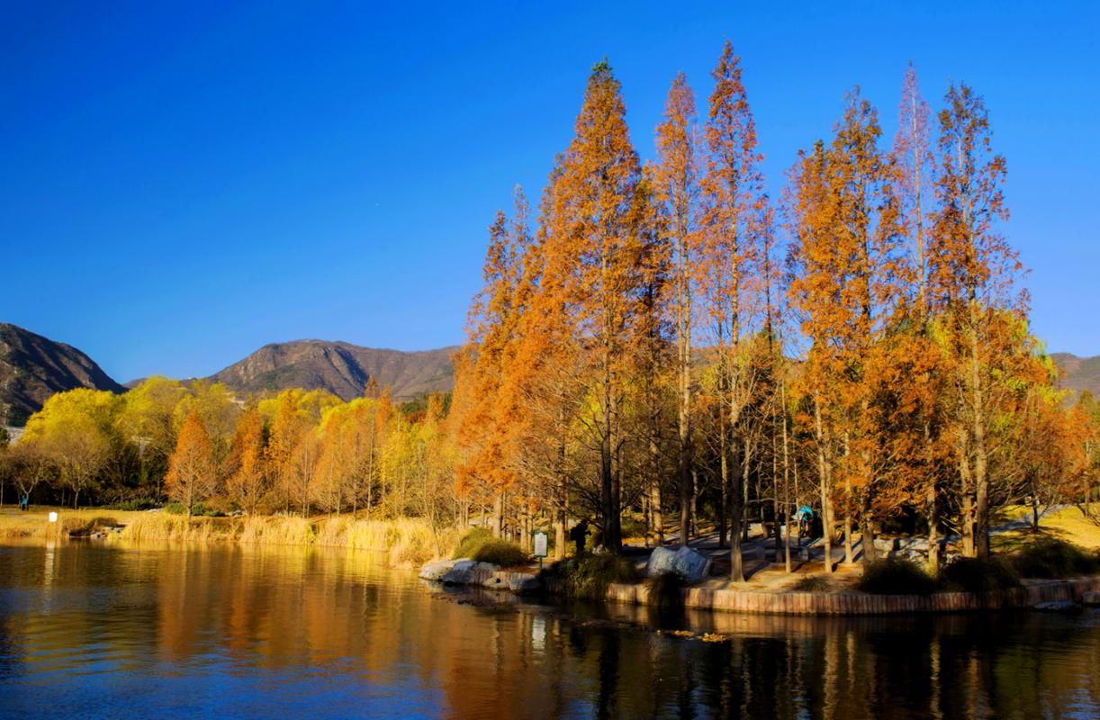 秋天广东去哪里旅游最好