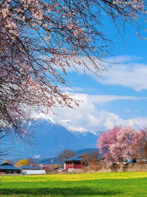 四月初旅游景点哪里好玩一点
