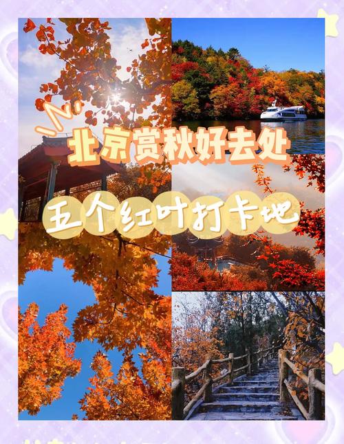 2021年深秋最佳旅游去处