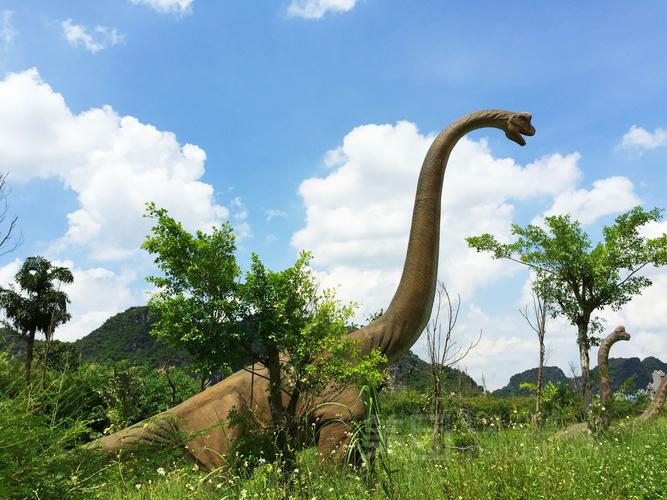 龙谷旅游景点哪里好玩一点