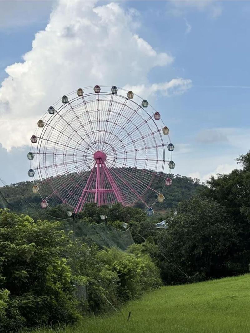 江门哪里有旅游景点好玩的