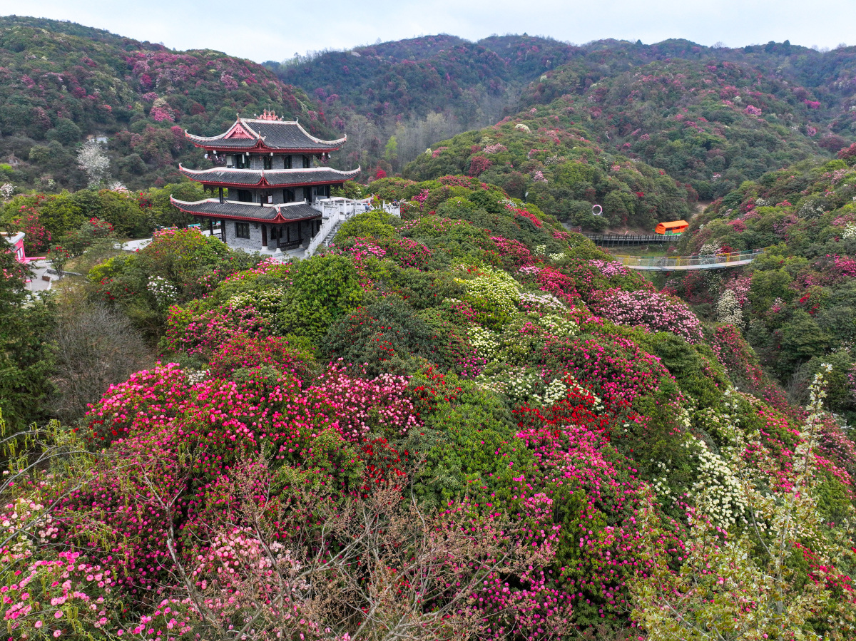贵州哪里好玩春季旅游景点推荐