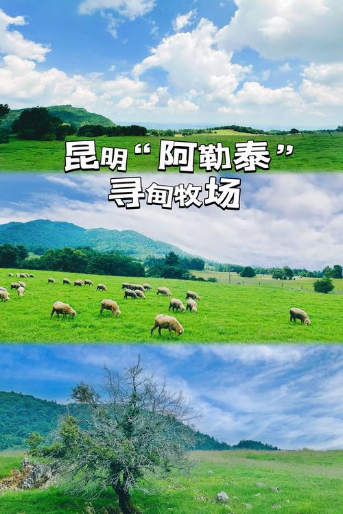 寻甸哪里的旅游景点好玩一点