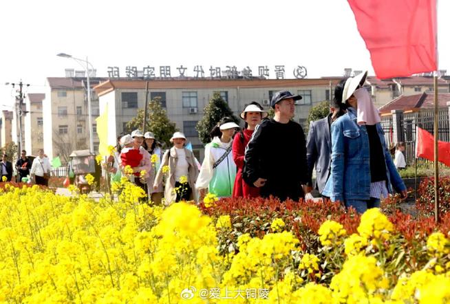 胥坝旅游景点哪里好玩的