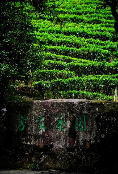 贺州哪里旅游景点好玩一点