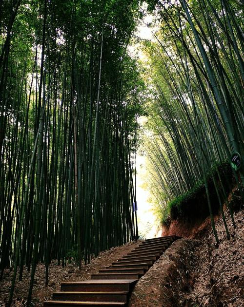 春天哪里旅游景点好玩一点