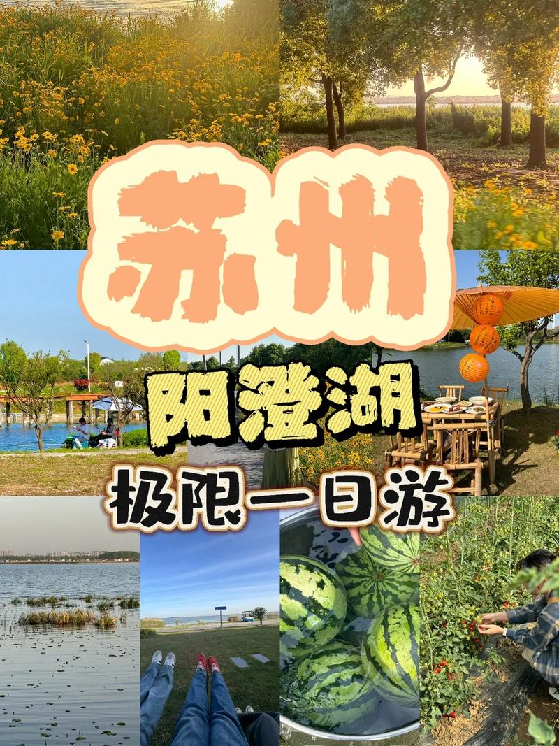阳澄湖旅游景点哪里好玩一点