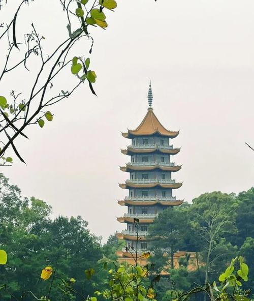 悟州旅游景点哪里好玩的