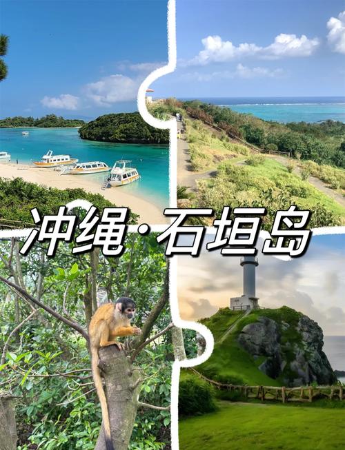 荒岛旅游景点在哪里好玩呢