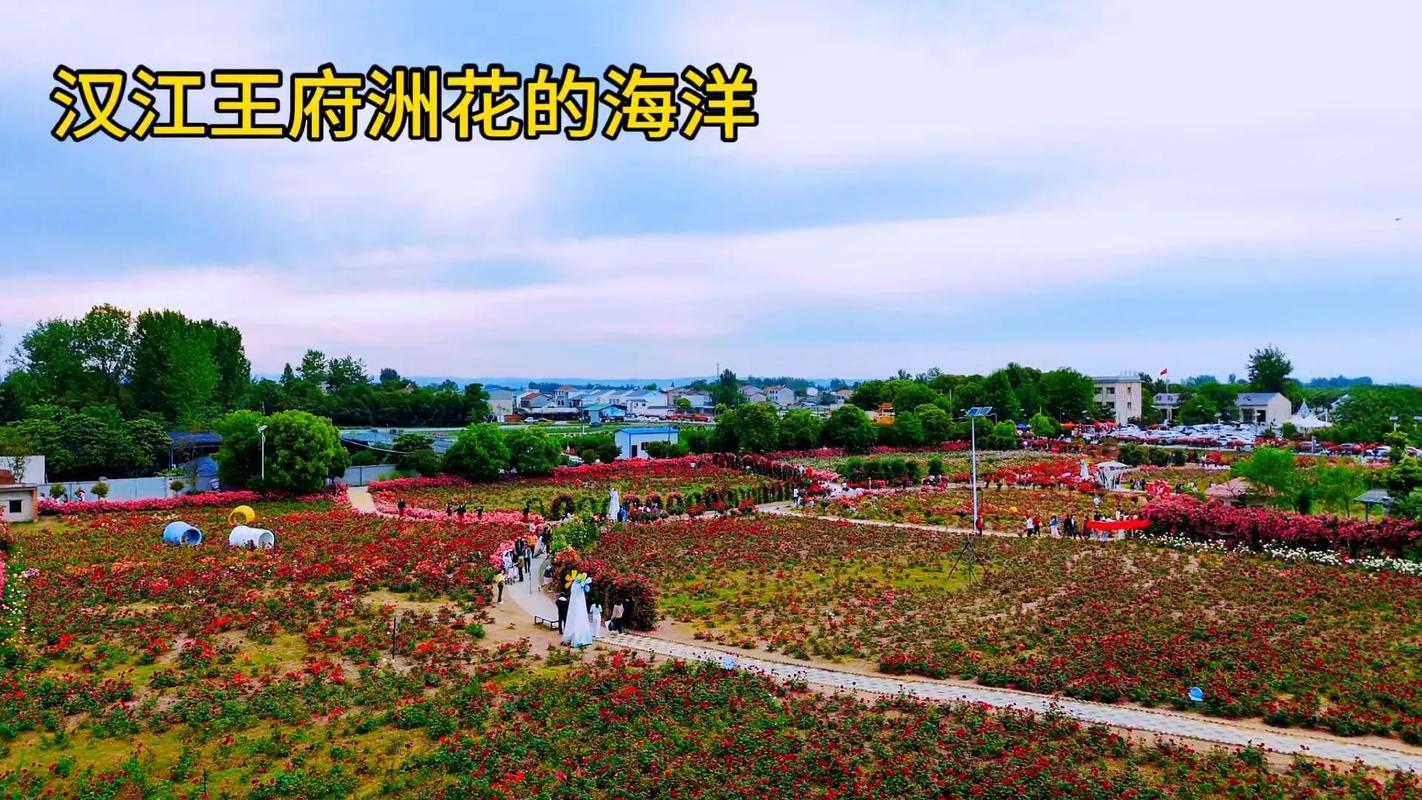 旅游景点老河口哪里好玩的