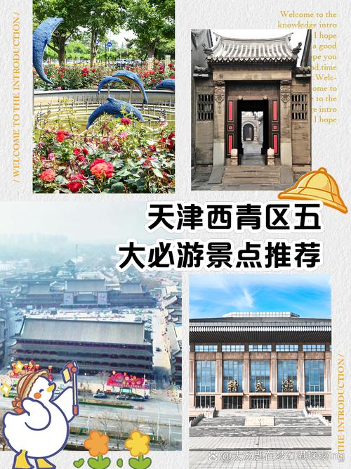 西青旅游景点哪里好玩的